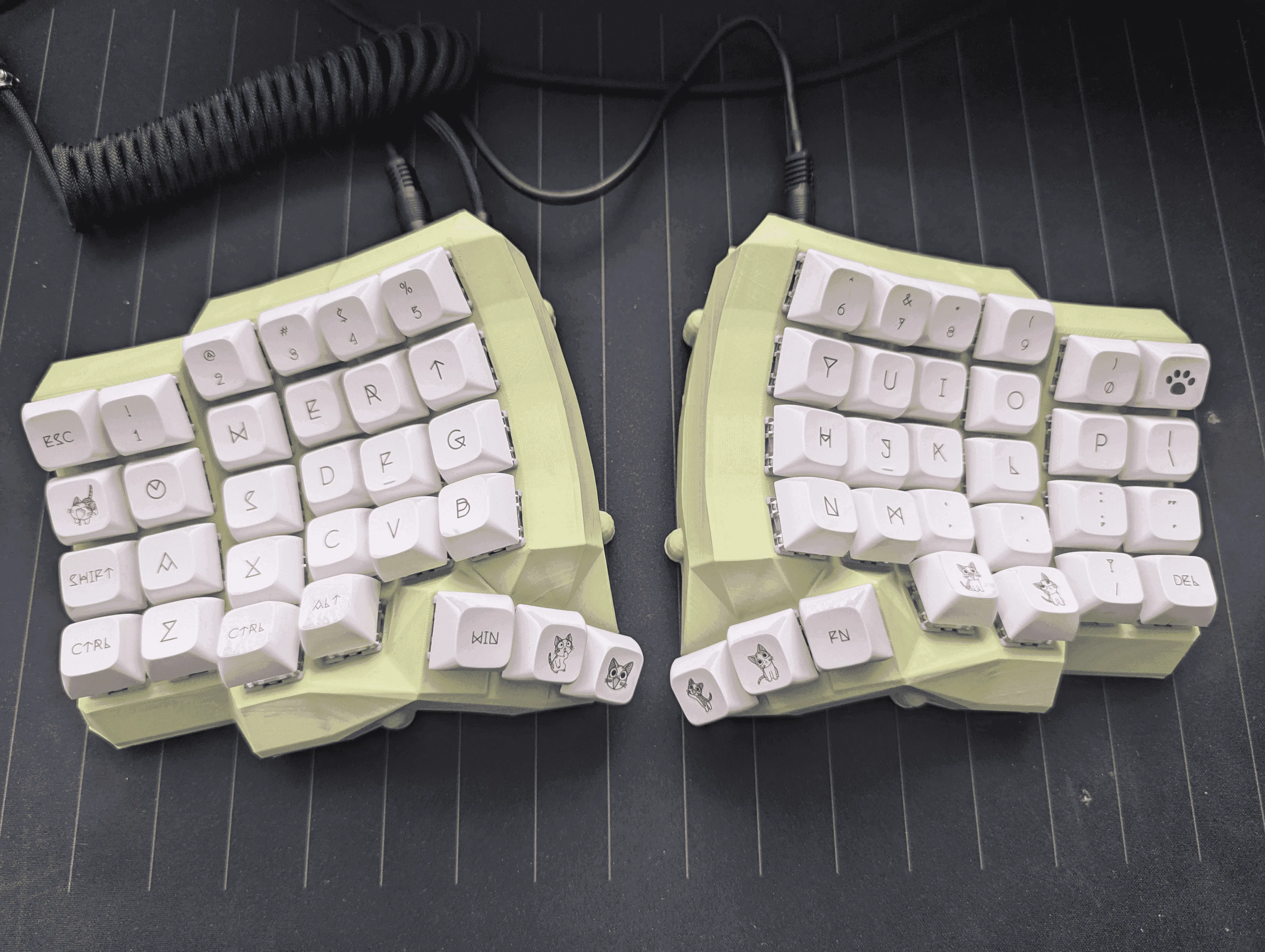 Dactyl